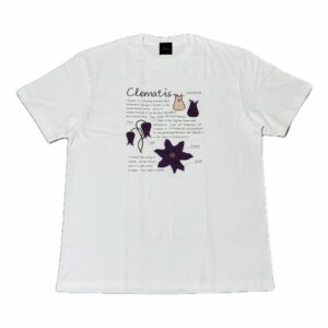 クレマチス-Clematis