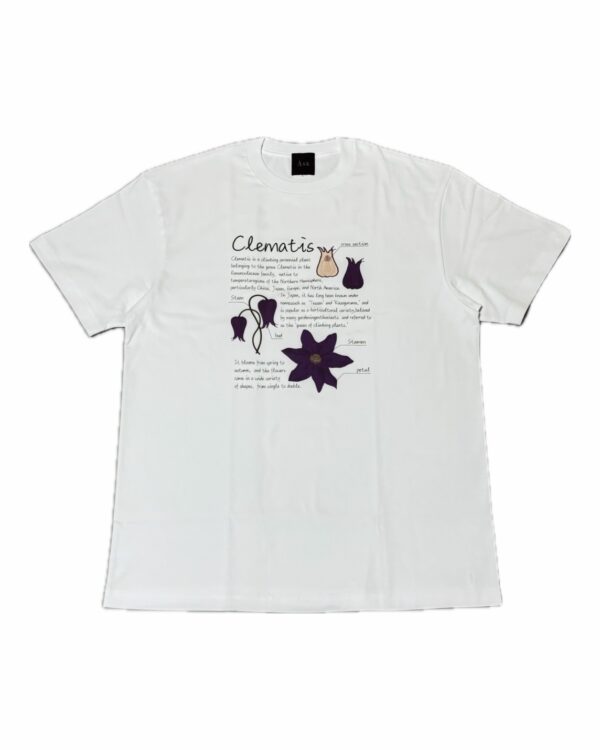 クレマチス-Clematis